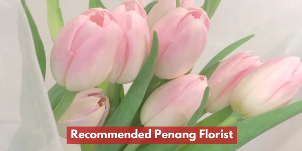 Kedai Bunga Yang Disyorkan Di Pulau Pinang
